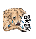 BUBU's daily（個別スタンプ：18）