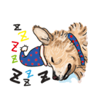 BUBU's daily（個別スタンプ：19）
