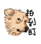 BUBU's daily（個別スタンプ：21）