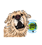 BUBU's daily（個別スタンプ：23）