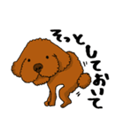 愛犬プードルの日常2（個別スタンプ：3）