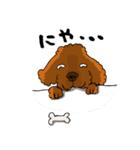 愛犬プードルの日常2（個別スタンプ：8）