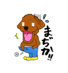 愛犬プードルの日常2（個別スタンプ：13）