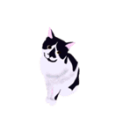 はちわれ(=^・^=)（個別スタンプ：1）