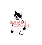 はちわれ(=^・^=)（個別スタンプ：6）