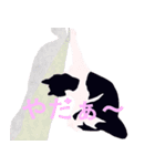 はちわれ(=^・^=)（個別スタンプ：7）