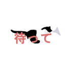 はちわれ(=^・^=)（個別スタンプ：8）