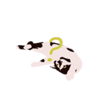 はちわれ(=^・^=)（個別スタンプ：9）