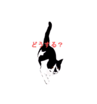 はちわれ(=^・^=)（個別スタンプ：12）