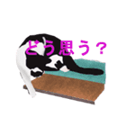 はちわれ(=^・^=)（個別スタンプ：15）