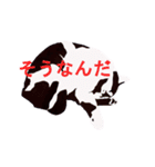 はちわれ(=^・^=)（個別スタンプ：19）