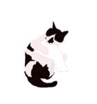 はちわれ(=^・^=)（個別スタンプ：20）