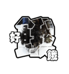 Sad Schnauzer（個別スタンプ：4）