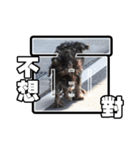Sad Schnauzer（個別スタンプ：6）