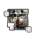 Sad Schnauzer（個別スタンプ：10）