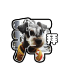 Sad Schnauzer（個別スタンプ：13）