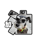 Sad Schnauzer（個別スタンプ：16）