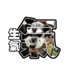 Sad Schnauzer（個別スタンプ：21）