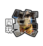 Sad Schnauzer（個別スタンプ：22）