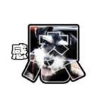 Sad Schnauzer（個別スタンプ：25）