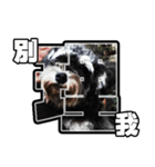 Sad Schnauzer（個別スタンプ：37）