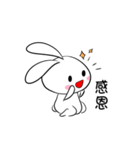 Pi-2 Daily 01（個別スタンプ：5）