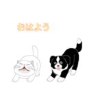 もも＆たろう（個別スタンプ：2）
