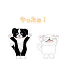 もも＆たろう（個別スタンプ：5）