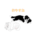 もも＆たろう（個別スタンプ：17）