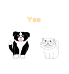 もも＆たろう（個別スタンプ：19）