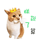 Sam Gor（個別スタンプ：7）