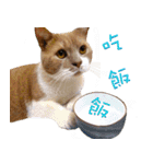 Sam Gor（個別スタンプ：12）