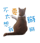Sam Gor（個別スタンプ：15）