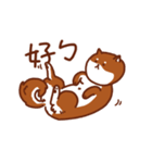 ShibaZach（個別スタンプ：6）