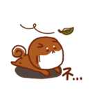ShibaZach（個別スタンプ：25）