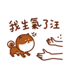 ShibaZach（個別スタンプ：33）