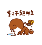 ShibaZach（個別スタンプ：39）