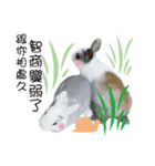 Two rabbit rounds（個別スタンプ：24）