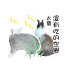 Two rabbit rounds（個別スタンプ：36）