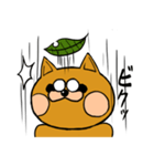 ヌキタくん（個別スタンプ：6）