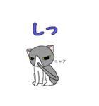鉢割れはっちゃんの日常（個別スタンプ：4）
