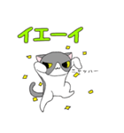 鉢割れはっちゃんの日常（個別スタンプ：9）