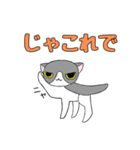 鉢割れはっちゃんの日常（個別スタンプ：13）