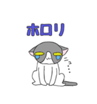 鉢割れはっちゃんの日常（個別スタンプ：15）