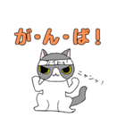 鉢割れはっちゃんの日常（個別スタンプ：18）