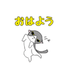 鉢割れはっちゃんの日常（個別スタンプ：19）