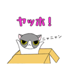 鉢割れはっちゃんの日常（個別スタンプ：21）