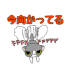鉢割れはっちゃんの日常（個別スタンプ：24）