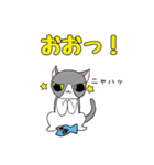 鉢割れはっちゃんの日常（個別スタンプ：27）