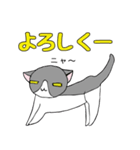 鉢割れはっちゃんの日常（個別スタンプ：33）